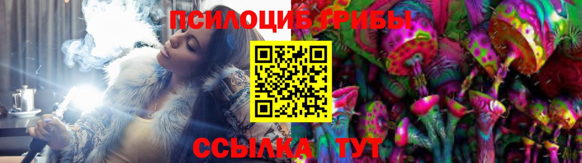 Лыткарино  Псилоцибиновые грибы MAGIC MUSHROOMS  Вход с VPN 